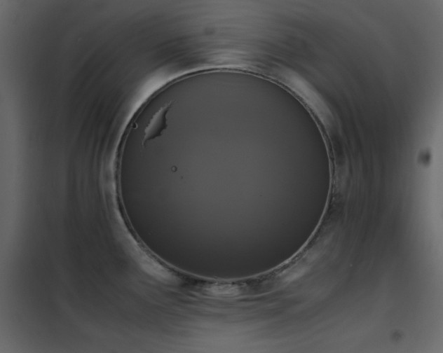 X0000102481291200808081256
