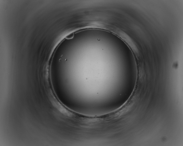 X0000102481292200808081256
