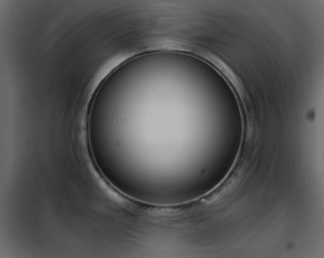 X0000102481293200808081256