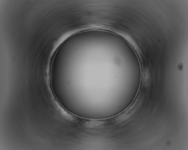 X0000102481294200808081256