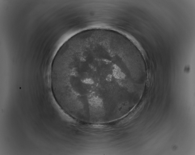 X0000102481295200808081256
