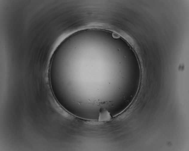 X0000102481296200808081256