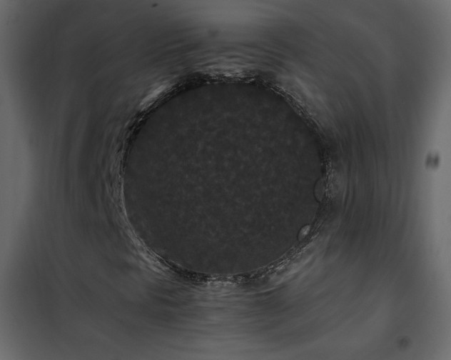 X0000102481297200808081255