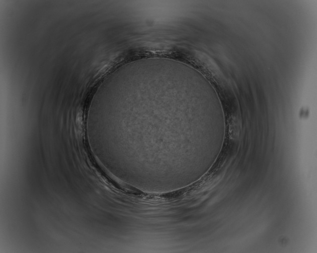 X0000102481298200808081255