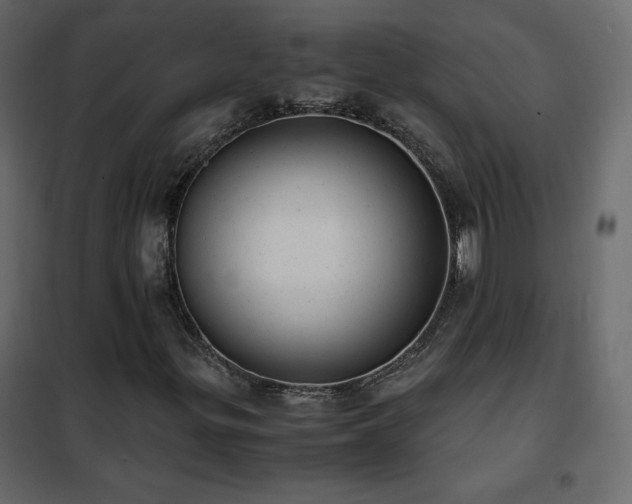 X0000102481299200808081256