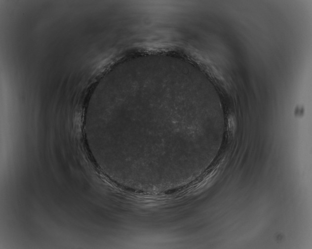 X0000102481300200808081256