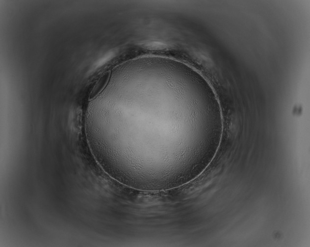 X0000102481301200808081256