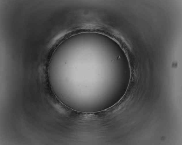 X0000102481304200808081256