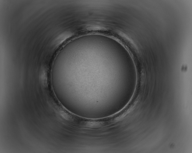 X0000102481305200808081256