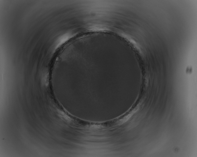 X0000102481306200808081256