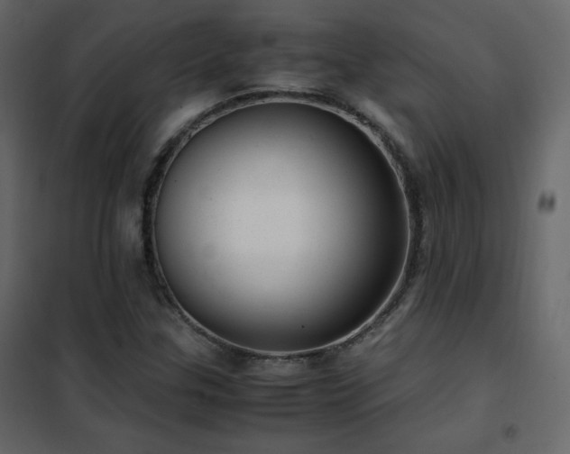 X0000102481307200808081256