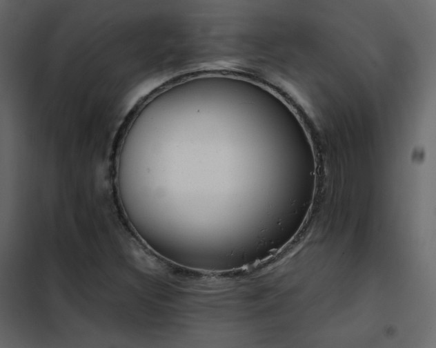X0000102481308200808081256