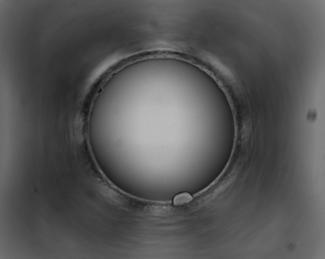 X0000102481310200808081256