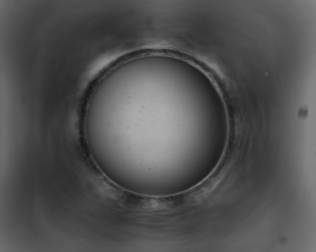 X0000102481311200808081256