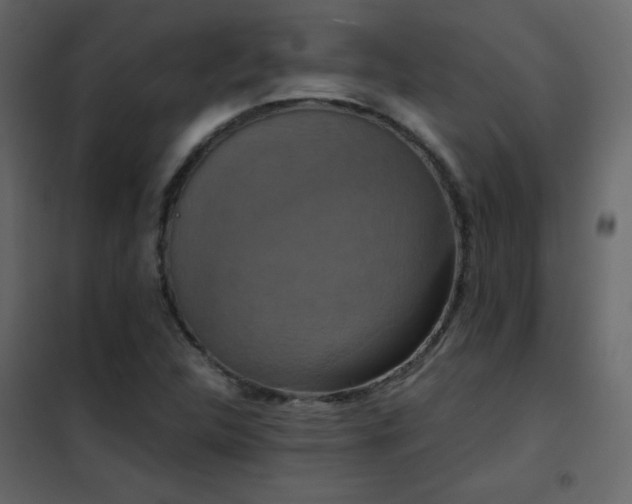 X0000102481312200808081256