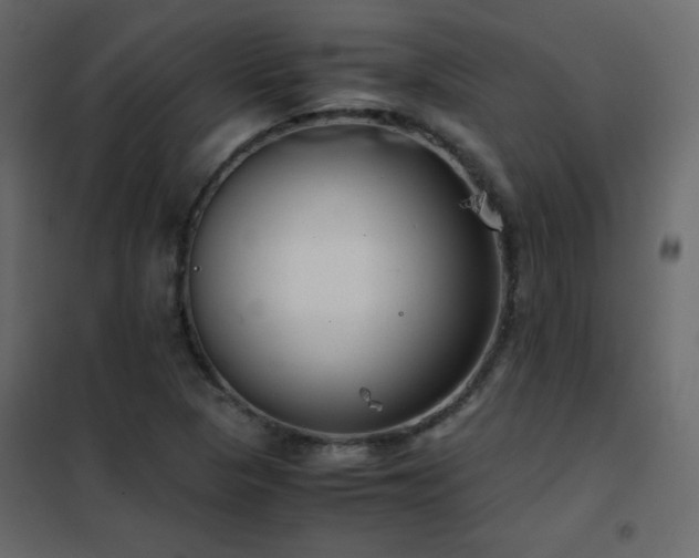 X0000102481313200808081256