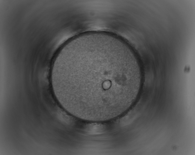 X0000102481314200808081256