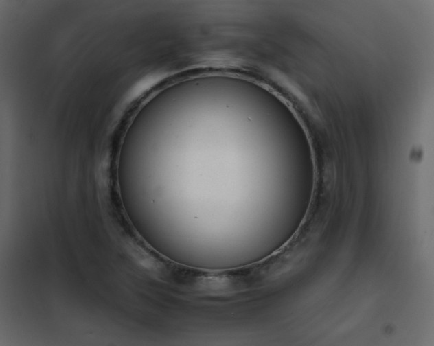 X0000102481315200808081256