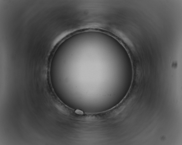 X0000102481316200808081256