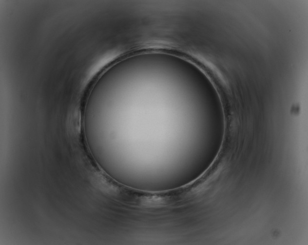 X0000102481317200808081256