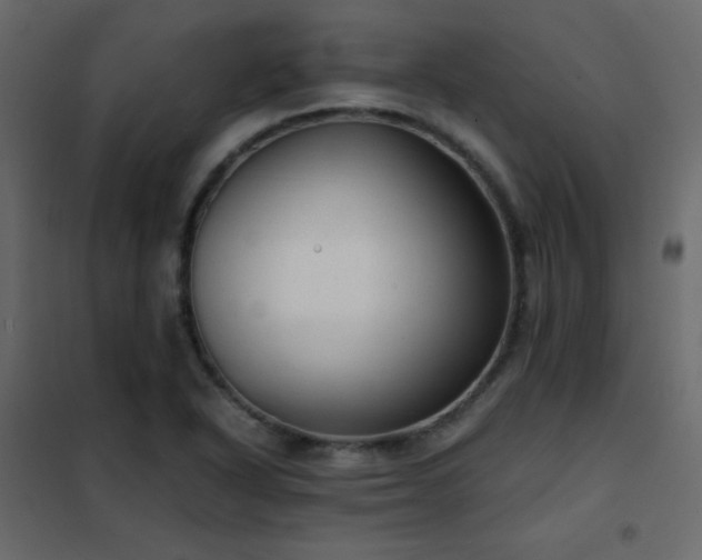 X0000102481318200808081256