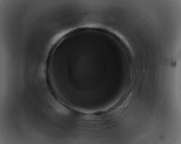 X0000102481319200808081256