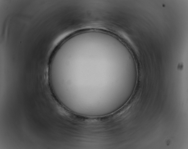 X0000102481320200808081256