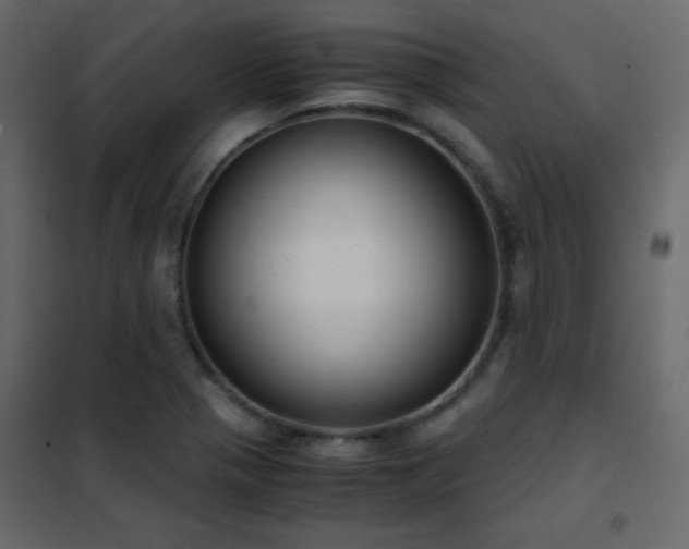 X0000102481321200808081256