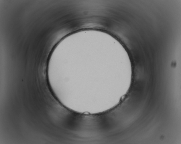 X0000102481322200808081256
