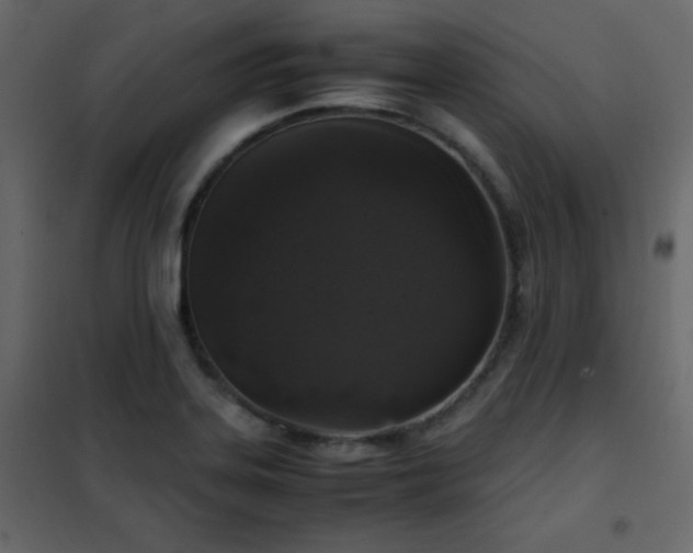 X0000102481323200808081256