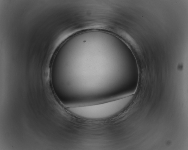 X0000102481324200808081256