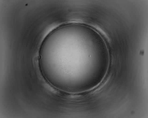 X0000102481325200808081256