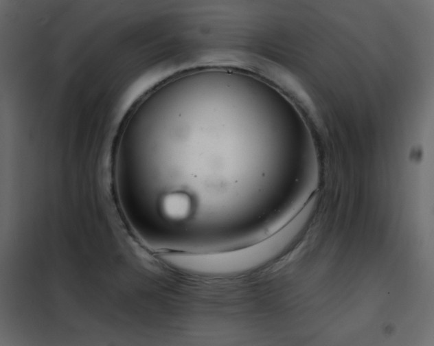 X0000102481328200808081256
