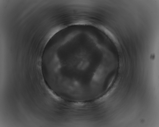 X0000102481329200808081256