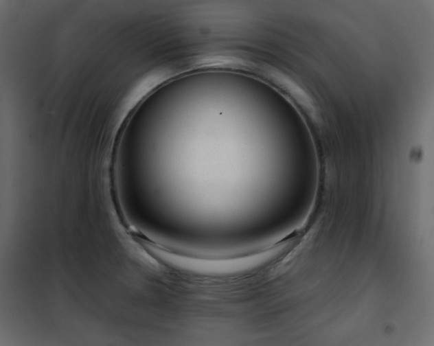 X0000102481330200808081256