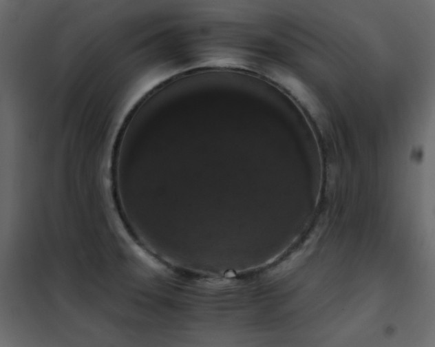 X0000102481331200808081256