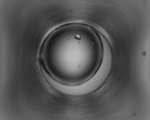 X0000102481332200808081256