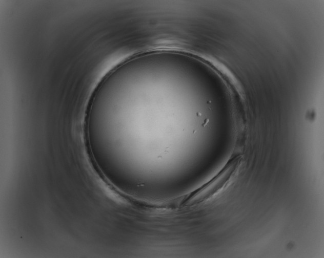 X0000102481333200808081256