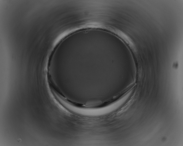 X0000102481334200808081256