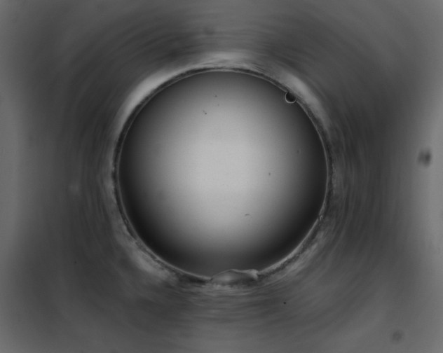 X0000102481336200808081256