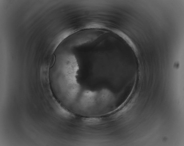 X0000102481337200808081256