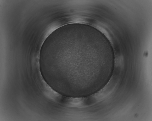 X0000102481338200808081256