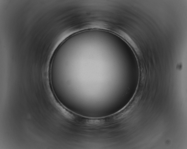 X0000102481339200808081256