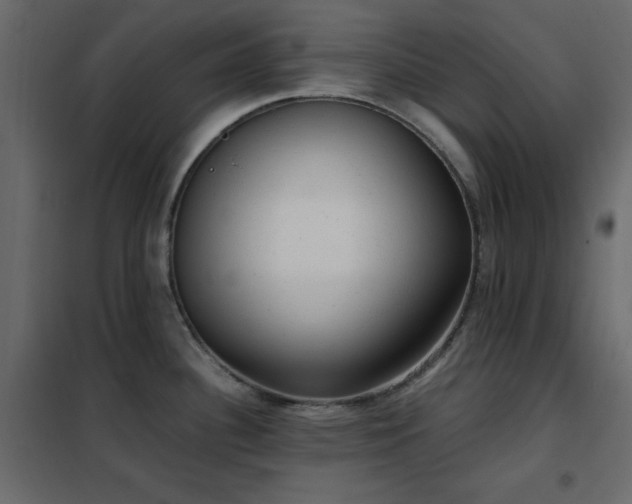 X0000102481340200808081256