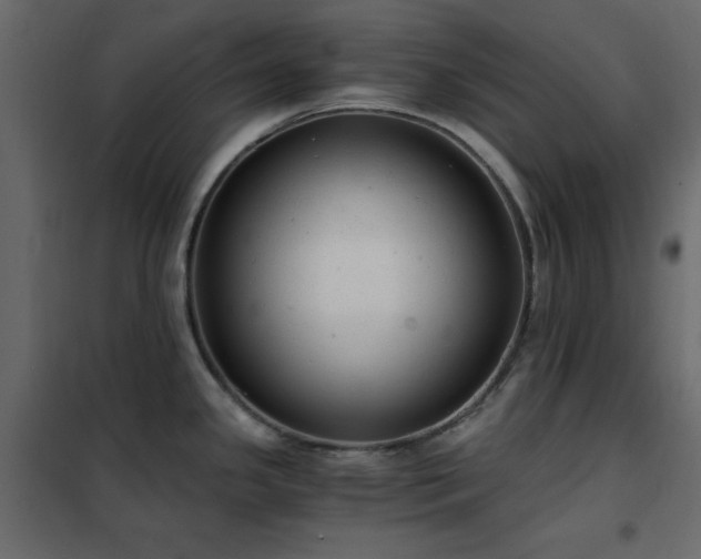 X0000102481341200808081256