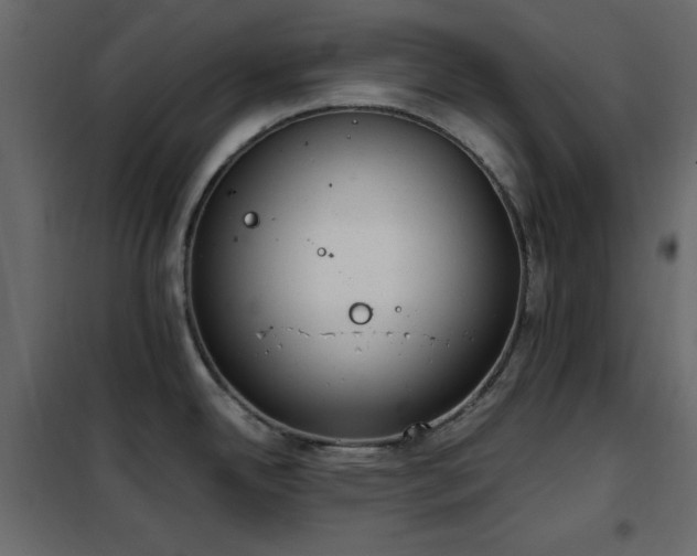 X0000102481342200808081256