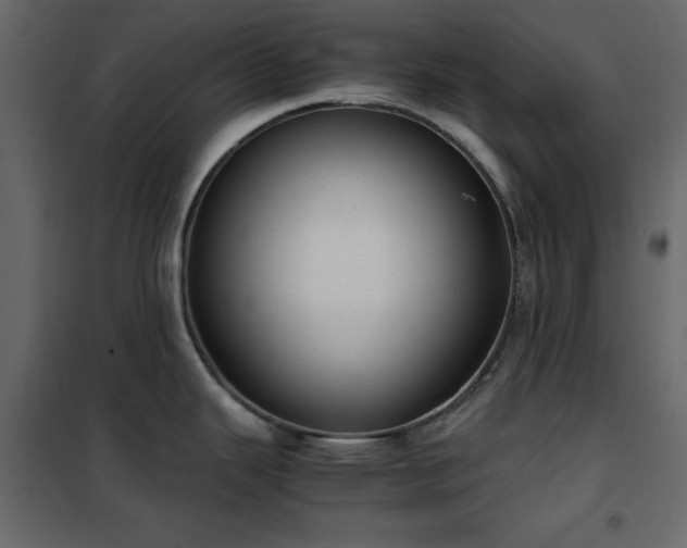 X0000102481343200808081256