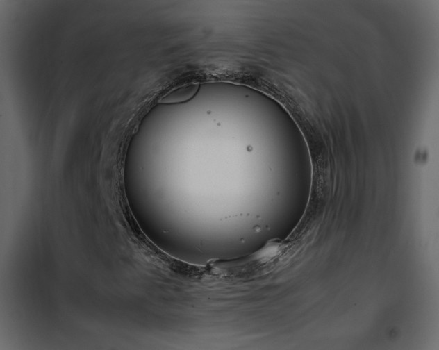 X0000102481345200808081255