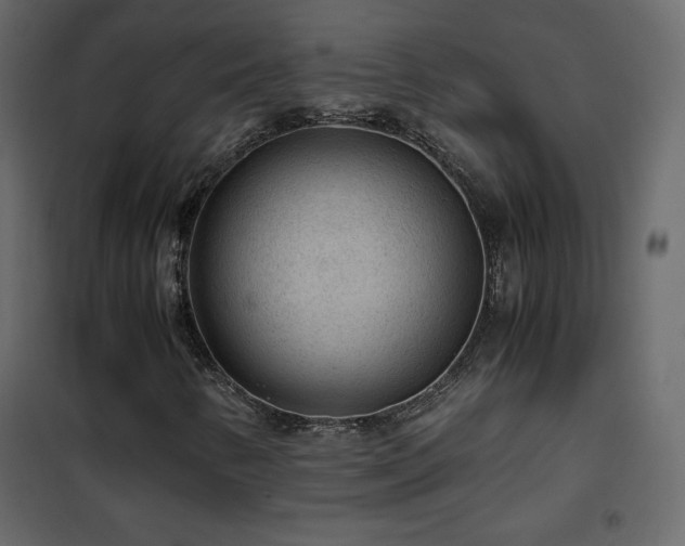 X0000102481346200808081255
