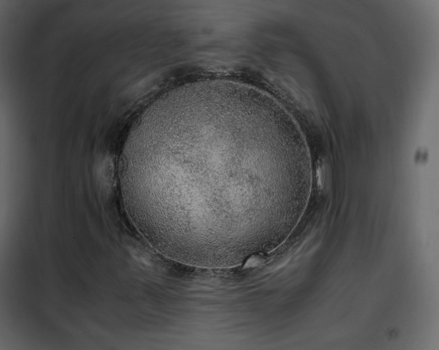 X0000102481347200808081255
